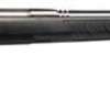 Savage B.Mag Rimfire Bolt .17 Winchester Super Magnum 22" Heavy Barrel SS 8 Rd Rotary Magazine