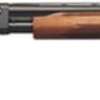 Remington 870 Express 12 Ga