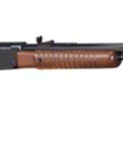 Henry Pump 22LR 20" Octagon Barrel