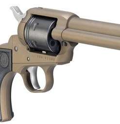 RENTAL Ruger Wrangler 22 LR