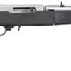 Ruger 10/22 Takedown Rifle