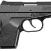 Remington RM380 Compact Micro .380 ACP 2.9"