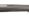 Browning X-Bolt Max 243 Winchester