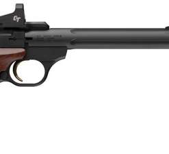 Browning Buckmark Hunter 22 LR