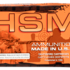 HSM Varmint Hunting 22-250 Remington