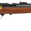 Beeman SAG Deluxe CO2 Air Rifle 177 Pellet