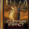 Winchester Copper Impact 300 Winchester Magnum