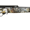 Ruger 10/22 Fifth Edition 22 LR