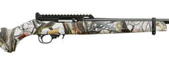 Ruger 10/22 Fifth Edition 22 LR