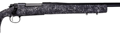 Remington 700 308 Winchester