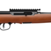 Savage Arms A Series Timber 22 LR