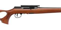 Savage Arms A Series Timber 22 LR