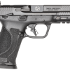 Smith & Wesson M&P9 M2.0 9mm