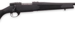 Weatherby Vanguard Compact 243 Winchester