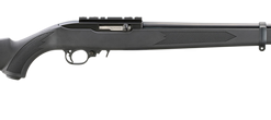 Ruger 10/22 Carbine 22 LR