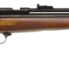 Beeman Chief Air Rifle 177 Pellet