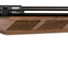 Gamo Coyote Whisper Fusion Air Rifle 22 Pellet