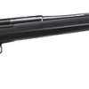 Chapuis Rols Carbon 300 Winchester Magnum