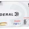 Federal Ammunition 380 ACP