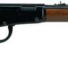 *RENTAL* Henry Lever Youth 22 LR