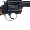 Henry Golden Boy 22 LR