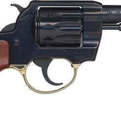 Henry Golden Boy 22 LR