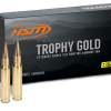 HSM Trophy Gold 264 Win Mag