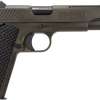 Kimber Rampart 45 ACP