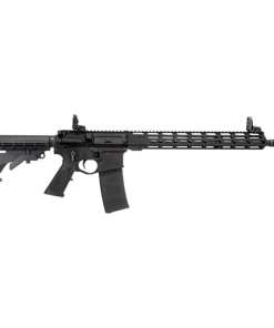 Raptor Defense RD-15 300 Blackout