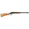 Rossi Rio Bravo 22 WMR