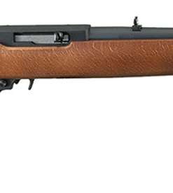 Ruger 10/22 Carbine .22 LR