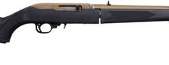 Ruger 10/22 Takedown 22 LR