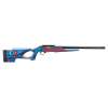 Ruger 10/22 USA Shooting 2024 22 LR