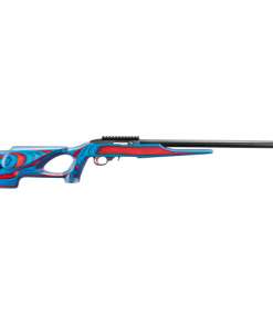 Ruger 10/22 USA Shooting 2024 22 LR