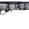 Ruger 10/22 22 LR