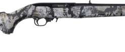 Ruger 10/22 22 LR