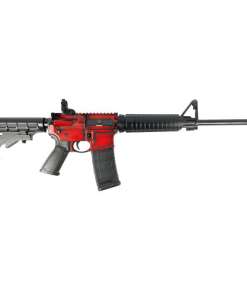 Ruger AR-556 5.56x45mm