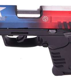 Ruger SR22 22 LR