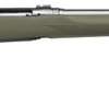 Savage 110 Trail Hunter 243 Winchester