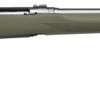 Savage 110 Trail Hunter 270 Winchester