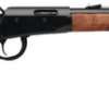 Savage Classic Revel 22 LR