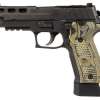 Sig Sauer P226 9mm