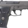 Sig Sauer P229 9mm