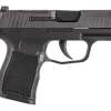 Sig Sauer P365 9mm