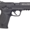 Smith & Wesson M&P 22 LR