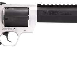 Taurus Raging Hunter 460 S&W