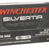 Winchester Silvertip 22 Magnum