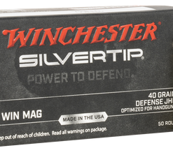 Winchester Silvertip 22 Magnum