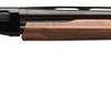 Winchester SXP 20 Ga