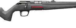 Winchester Xpert SR 22 LR